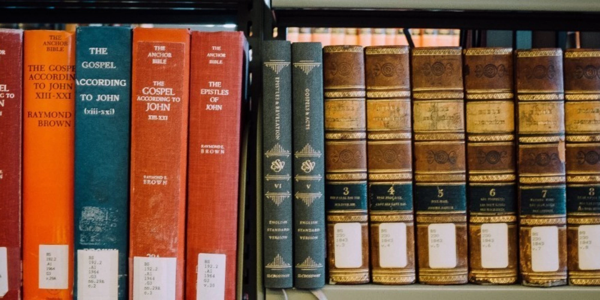 Header image